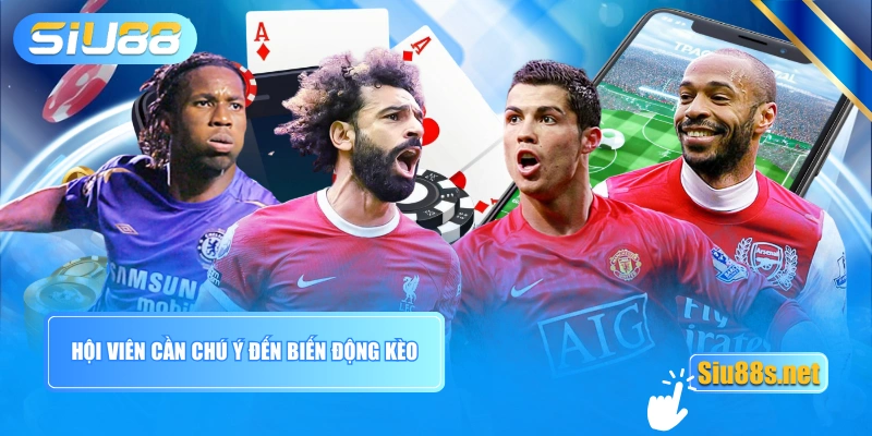 Hội viên cần chú ý đến biến động kèo