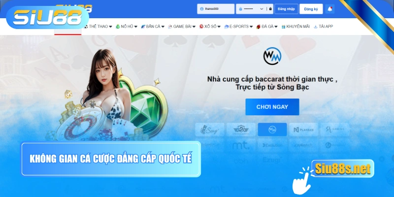 Không gian cá cược đẳng cấp quốc tế