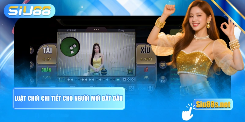 Luật chơi chi tiết cho người mới bắt đầu