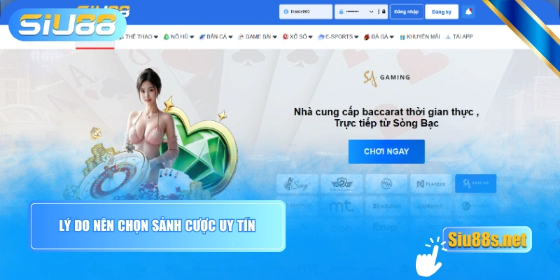 Lý do nên chọn sảnh cược uy tín